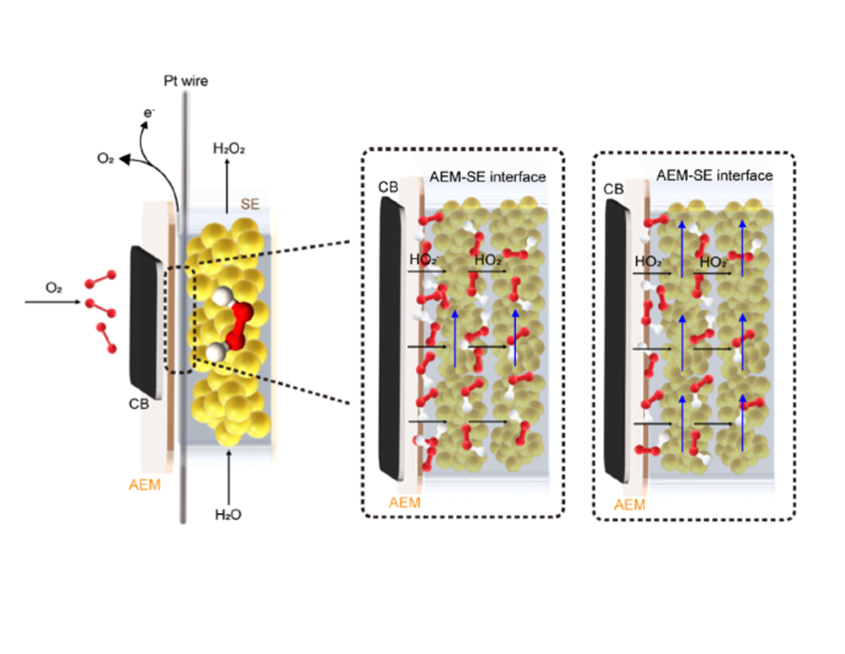 Electrochemical manufacturing of hydrogen peroxide with high concentration and durability