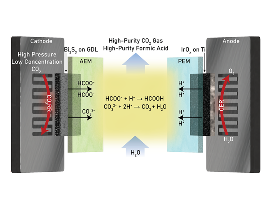 High-pressure electrochemical CO2 capture and reduction to formic acid