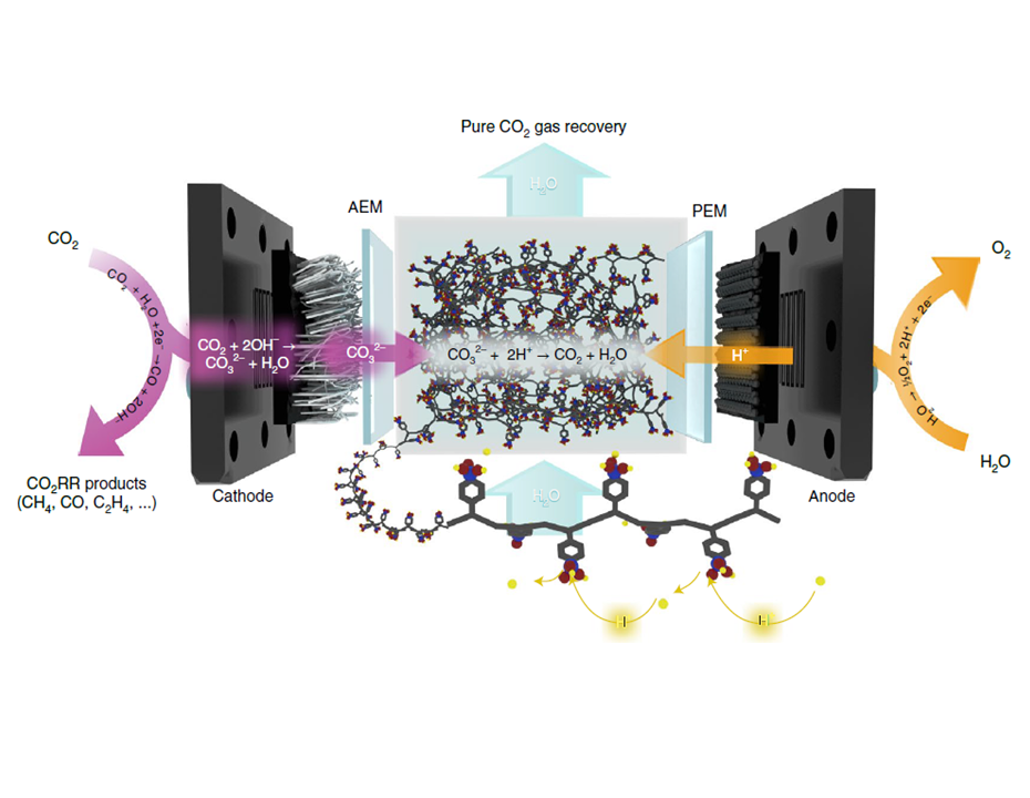 Recovering carbon losses in CO2 electrolysis using a solid electrolyte reactor