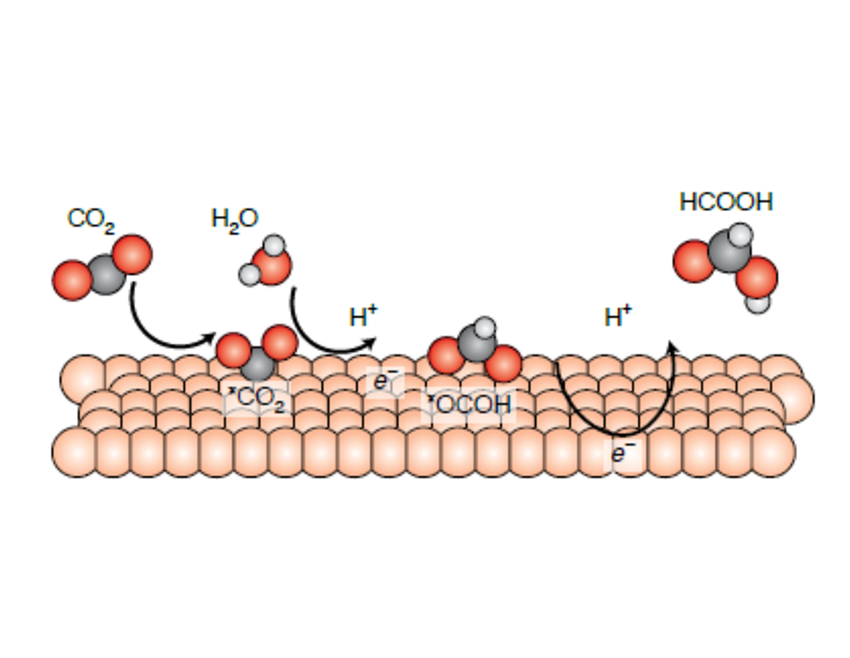 High-purity and high-concentration liquid fuels through CO2 electroreduction