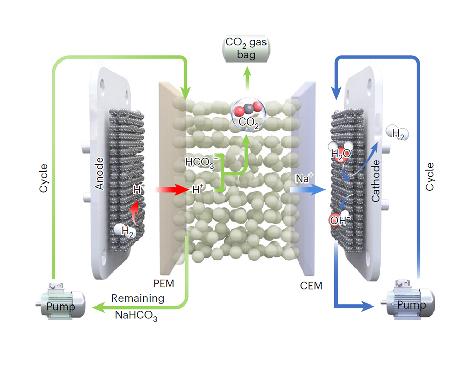 Electrochemical regeneration of high-purity CO2 from (bi)carbonates in a porous solid electrolyte reactor for efficient carbon capture